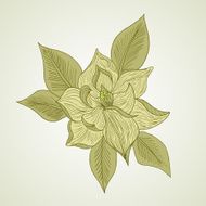 Hand drawing floral background N5