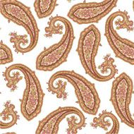 pattern of paisley N3