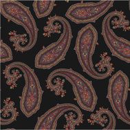 pattern of paisley N4