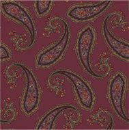 pattern of paisley N6