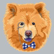 vector funny cartoon hipster chow-chow dog