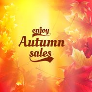 Autumn sale realistic Leaves typography poster N2