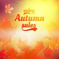 Autumn sale realistic Leaves typography poster N5