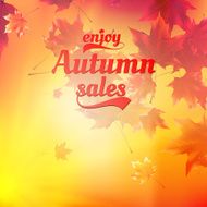 Autumn sale realistic Leaves typography poster N7