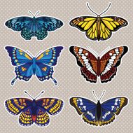 set with isolated butterflies