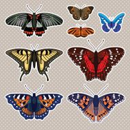 set with isolated butterflies N2