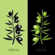 Black and green olives