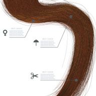 vector long hair on white background