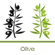 Black and Green Olives Branch