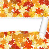 Autumn maple seamless pattern with ripped stripe