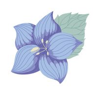 colorful illustration flowers in simple background N5