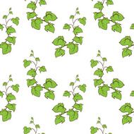 Ivy vector hand drawn seamless pattern Climbing woody plant