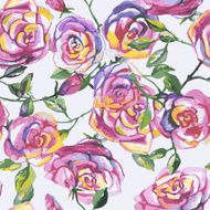 seamless pattern with beautiful roses N2