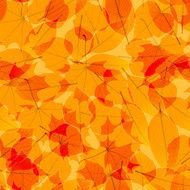 Transparent Autumn Leaves plus EPS10 N3