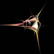 Digital Fractal on Black N77