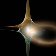 Digital Fractal on Black N265