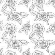 Seamless pattern with roses N16