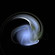 Digital Fractal on Black N1185