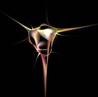 Digital Fractal on Black N1186