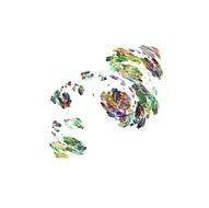 digital fractal N189