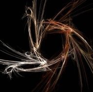 Digital Fractal on Black N1193