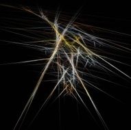 Digital Fractal on Black N1227