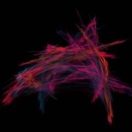 Digital Fractal on Black N1232