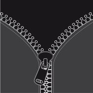 grunge zip