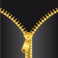 gold zip vector