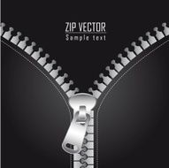 zip vector N2