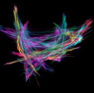 Digital Fractal on Black N1257
