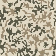 Camouflage fabric pattern