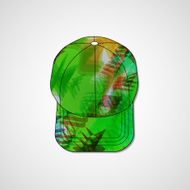 Abstract illustration on peaked cap N32
