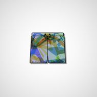 Abstract illustration on shorts N37
