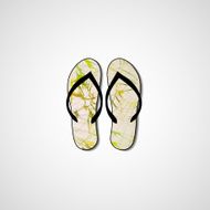 Abstract illustration on flip flops N36