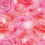 Roses N8