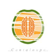 Vector of fruit cantaloupe icon