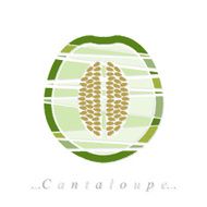 Vector of fruit cantaloupe icon N2