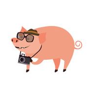 Pig hipster style photographer