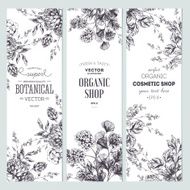 Floral banner collection Organic shop Vector illustration