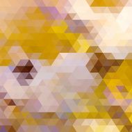 Triangle autumn color background N2