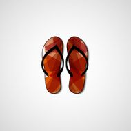 Abstract illustration on flip flops N42