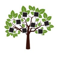 Tree with Green Leafs and Borders Vector Illustration