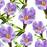 Spring crocus flowers Seamless pattern
