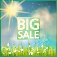 Grass with flowers and Sale N2