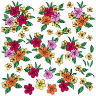 Hibiscus illustration N6