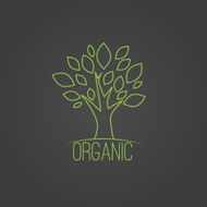 Vector natural organic label in trendy linear style