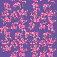 Pink orchids pattern