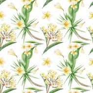 tropical pattern N5