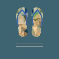 flipflops N2